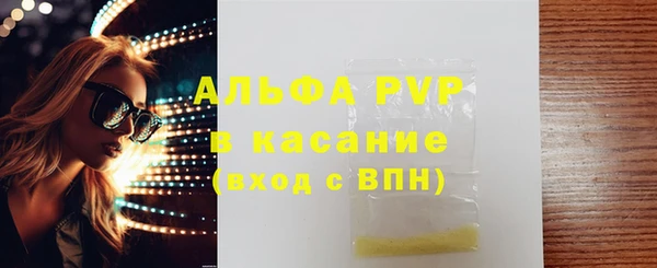 индика Балахна