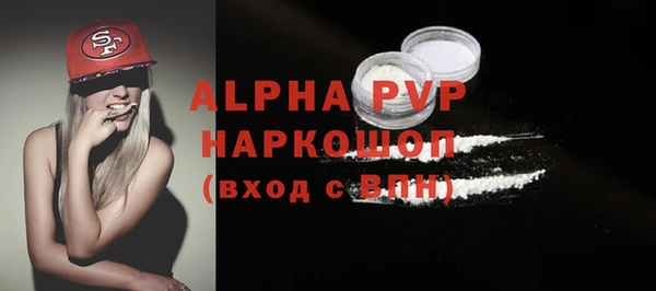 индика Балахна
