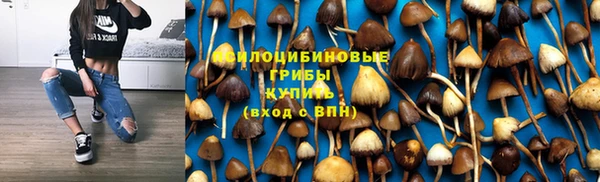 а пвп мука Баксан