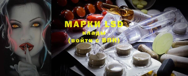 индика Балахна