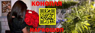 прущие грибы Конаково