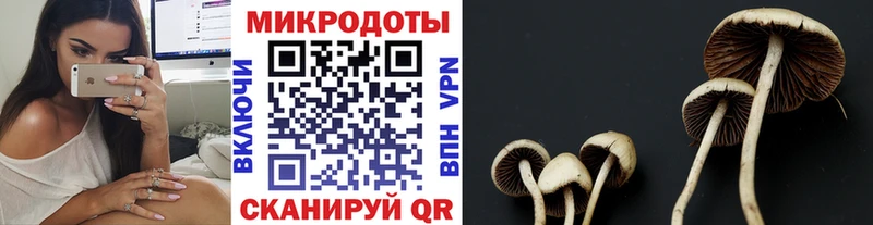 Галлюциногенные грибы мухоморы  гидра ссылка  Калуга  где продают наркотики 
