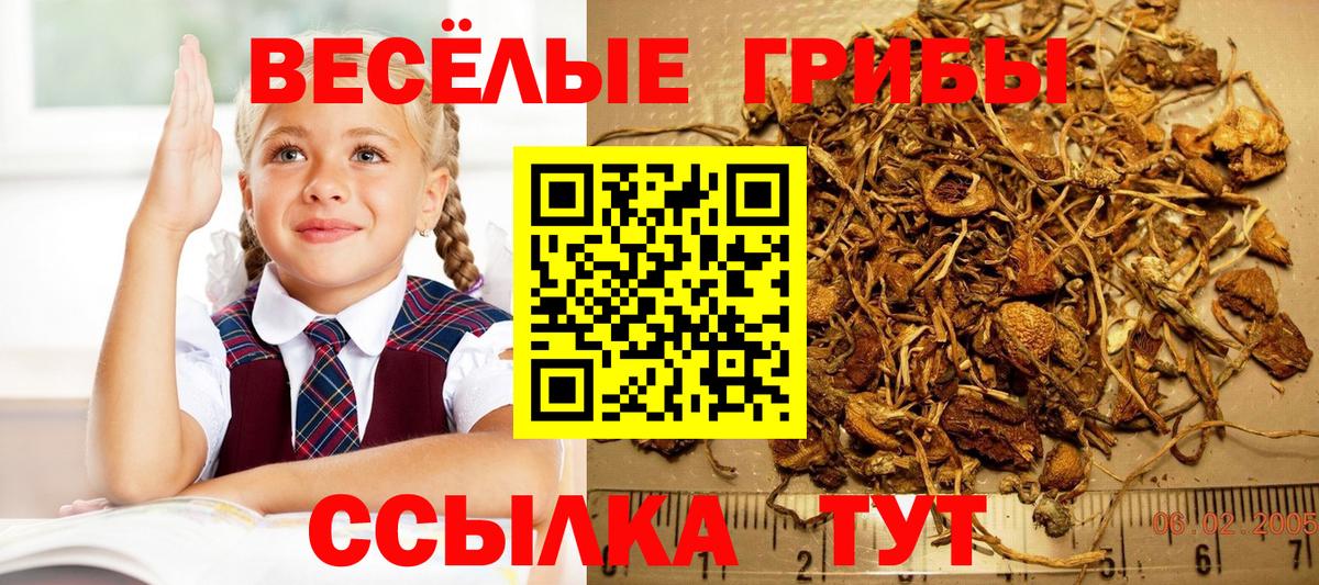 Калуга  Псилоцибиновые грибы мухоморы  Вход с VPN  Псилоцибиновые грибы MAGIC MUSHROOMS 