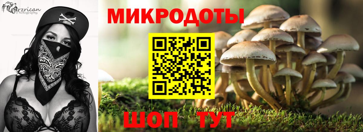 Псилоцибиновые грибы Psilocybine cubensis Калуга